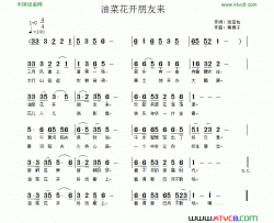 油菜花开朋友来简谱