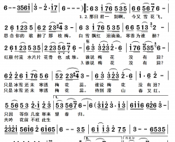 梅花泪(高清)简谱-文希演唱-杨居文曲谱