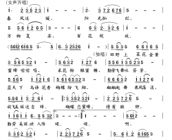蝴蝶恋蜜蜂简谱