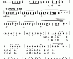 兴国红简谱-罗晓航肖远明词/罗晓航曲陈运子-