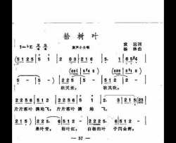 拾树叶童声小合唱简谱