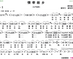 情牵故乡简谱