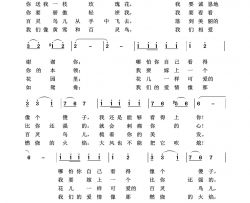 送我一只玫瑰花经典民歌100首简谱