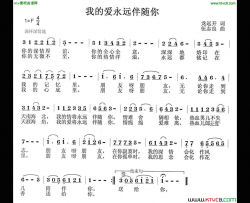 我的爱永远伴随你简谱