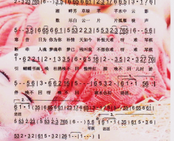 红颜泪【彩谱】简谱-费玉清演唱-庄奴/李亚文词曲