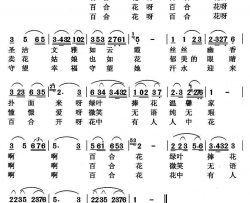 百合花张璟词曲百合花张璟 词曲简谱