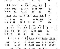 看铁棍简谱
