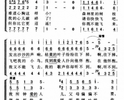 小鸟简谱-王静瑄演唱