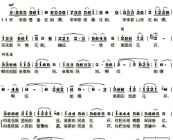 美丽的民族花环简谱