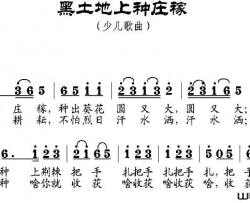 黑土地上种庄稼简谱