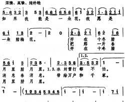 腊梅花 简谱-瞿琮填词 姚敏曲