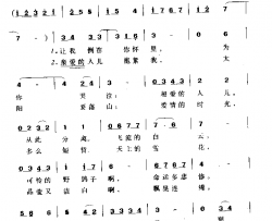 野鸽子之歌简谱