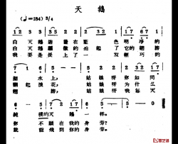 天鹅简谱-哈萨克民歌