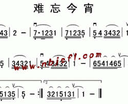 难忘今宵简谱