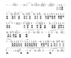 大森林的早晨简谱-真情玲儿演唱-张士燮/徐沛东词曲