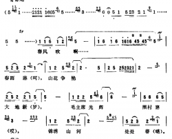 毛主席光辉照村寨简谱-李长波词/徐东蔚曲