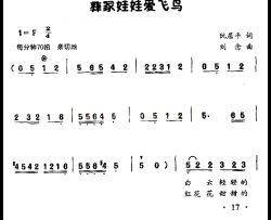 彝家娃娃爱飞鸟童声表演唱简谱