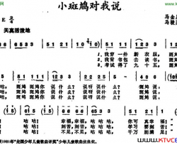 小斑鸠对我说简谱