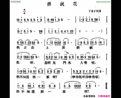 绣绒花陕北榆林小曲简谱