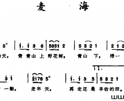 麦海简谱