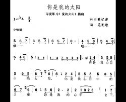 你是我的太阳简谱