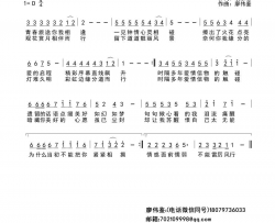 爱的触碰简谱-王鹏飞演唱-裴永春/廖伟鉴词曲