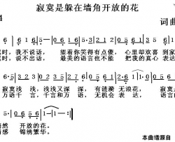 寂寞是躲在墙角开放的花简谱