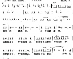 露水珠简谱