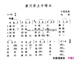 黄河岸上牛喝水简谱