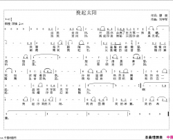 挽起太阳简谱