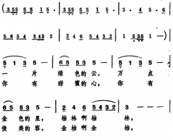 金桔赞简谱