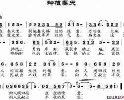 种植春天简谱