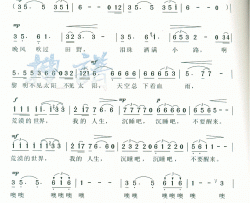 人生简谱-赵欣俞演唱