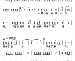 问他是否想起了我简谱