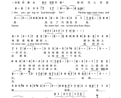 百里香斯卡罗布集市 中文版简谱