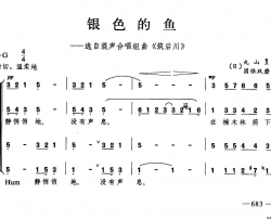 银色的鱼合唱简谱