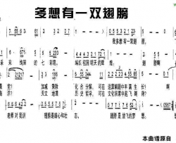 多想有一双翅膀简谱