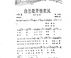 白兰花开情意长简谱