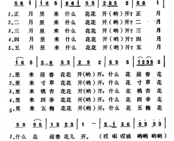 五月散花简谱