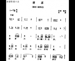 摘茶简谱