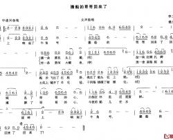 搬船的哥哥回来了简谱-李三处词 满广元曲