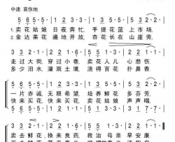 卖花姑娘简谱-云雀合唱团演唱