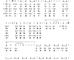 他们渴望亲近你英汉简谱