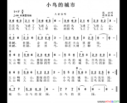 小鸟的城市张冰词张国良曲小鸟的城市张冰词 张国良曲简谱