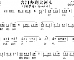 含泪去到大河头《砂子岗》简谱