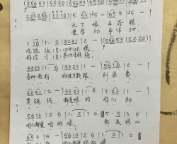 都是娘的好儿郎简谱