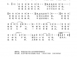 荷莲是大神水鑫打谱版简谱
