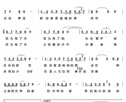 把你带回家简谱