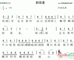 割小麦河曲民歌简谱