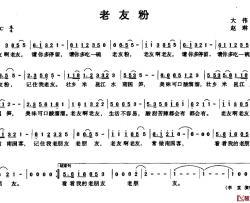 老友粉简谱-大伟词/赵琳曲